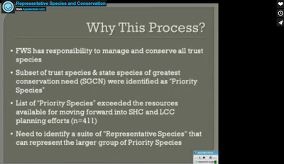 Representative Species and Conservation Design 