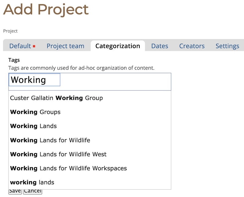 Categorization Tab