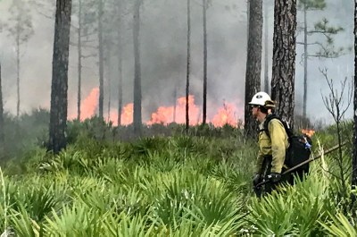 National Fire Mapping