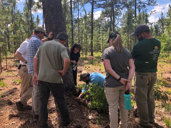 Land managers learn about duff moisture during a wildland fire workshop in North Carolina. Credit: Jennifer Fawcett