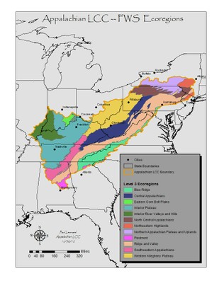 Ecoregions