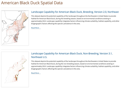 American Black Duck Spatial Data