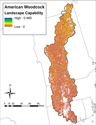 Landscape Capability for American Woodcock