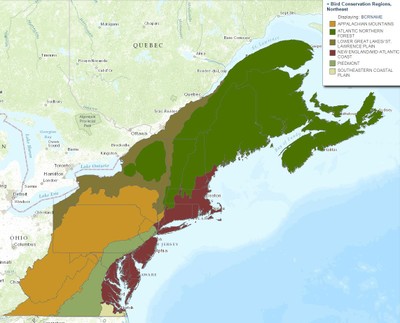 Bird Conservation Regions, Northern Appalachians