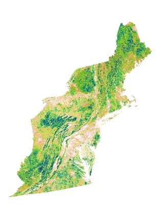 Index of Ecological Integrity, Stratified by Ecosystem, Version 3.1, Northeast