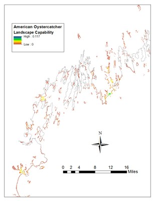 Landscape Capability for American Oystercatcher, Version 3.0, Northeast 