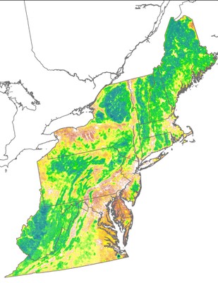 Landscape Capability for Black Bear, Version 2.0, Northeast