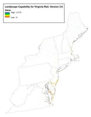 Landscape Capability for Virginia Rail, Version 3.0, Northeast 