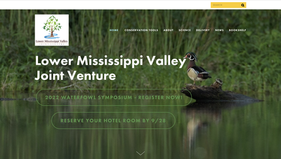 Lower Mississippi Valley Joint Venture