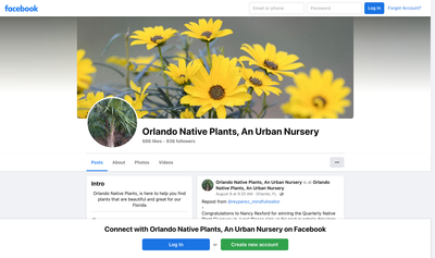 Orlando Native Plants