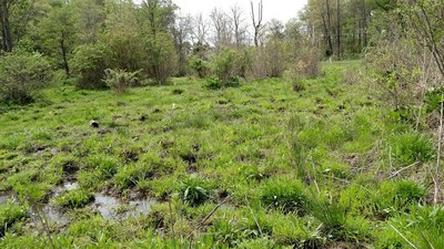 Habitat Restoration and Management