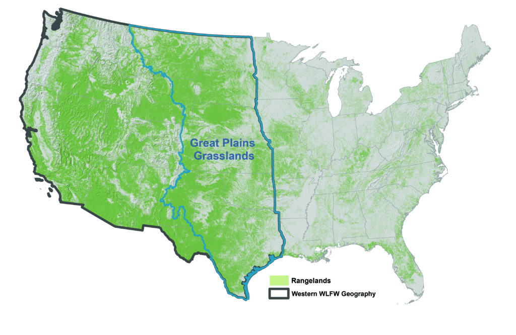 Great Plains Grasslands Biome