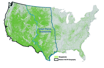 Great Plains Biome Map