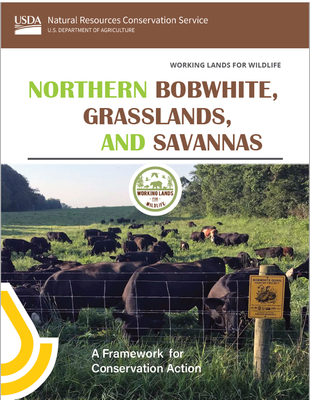 Northern Bobwhite, Grasslands, and Savannas (2022) Framework for Conservation Action