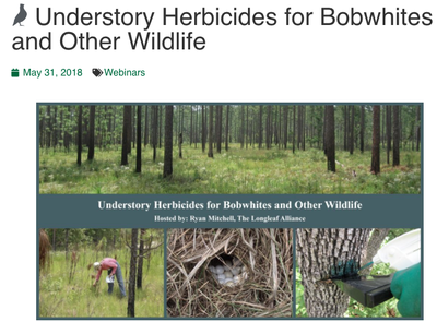 Understory Herbicides for Bobwhites and Other Wildlife