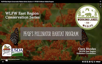 WLFW Pollinator Conservation Webinar Series: Session # 11 PF/QF’s Pollinator Habitat Program