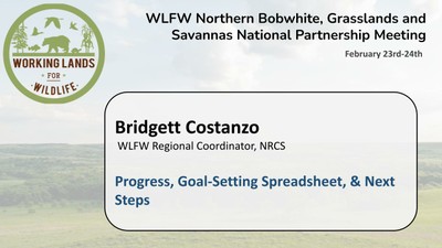 Progress, Goal-Setting Spreadsheet, & Next Steps: Bridgett Costanzo