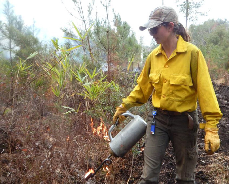 Woman with Drip Torch (from Fact Sheet)