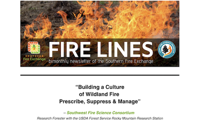 Fire Lines November 2023 (Volume 13, Issue 4)