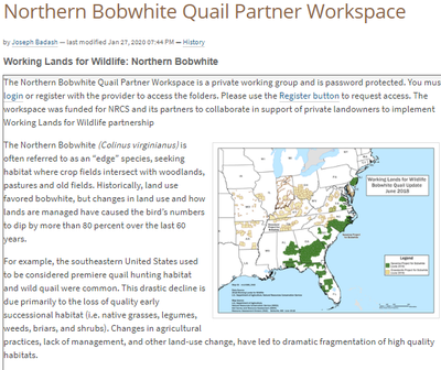 Northern Bobwhite Quail Partner Workspace