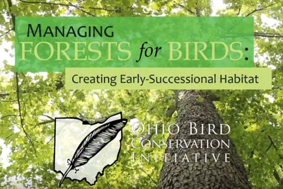 Managing Forests for Birds Video Series