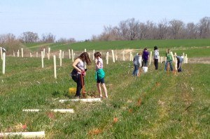 Stream Restoration Challenge Kicks Off with Spring Plantings