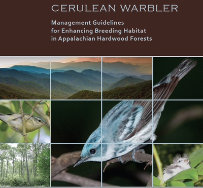 Cerulean Warbler Forest Management Project