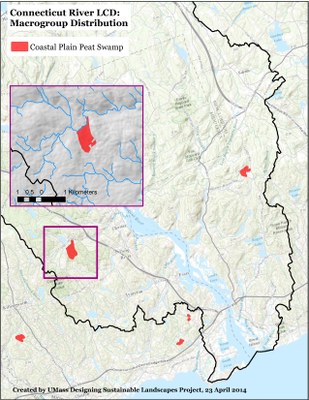 Coastal Plain Peat Swamp