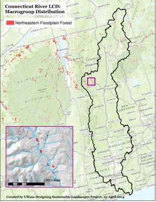 Northeastern Floodplain Forest