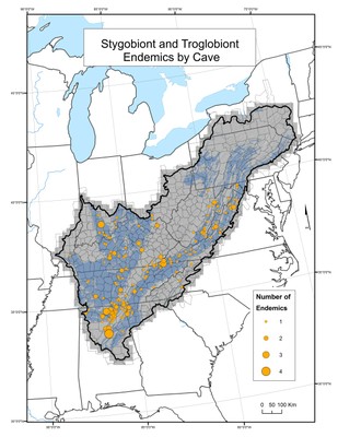 Stygobiont and Troglobiont Endemics by Cave