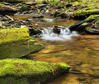 Small stream