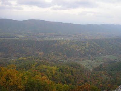 Species and Habitat Vulnerability Assessments of Appalachian Species and Habitats