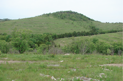 Regional Glade Conservation Assessment