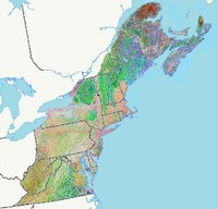Terrestrial Habitat Map for the Northeast U.S. and Atlantic Canada