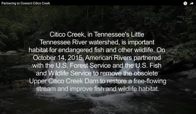Partnering to Connect Citico Creek