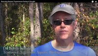 Rescuing Barrens Topminnows During A Drought