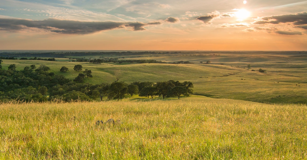 Working Lands for Wildlife